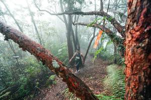 BIB: 
                            <button type="button" onclick="openModal(26343755)" class="btn btn-primary btn-sm float-right btn-popup" data-toggle="modal" data-target=".modal-high-quality">
                        <i class="fas fa-shopping-cart"></i> Add to Cart
                    </button>
                                            <button type="button" onclick="isThisMe(26343755, true)" class="btn btn-success btn-sm float-right btn-popup btn-isme hidden" data-toggle="tooltip" data-placement="bottom" title="นี่คือรูปของคุณใช่ไหม คลิกที่นี่เพื่อเอาเข้าอัลบั้ม">
                        <i class="fas fa-plus"></i> Add to album
                    </button>
                    <button type="button" onclick="isThisMe(26343755, false)" class="btn btn-warning btn-sm float-right btn-popup btn-isnotme hidden">
                        <i class="fas fa-ban"></i> Remove from album
                    </button>